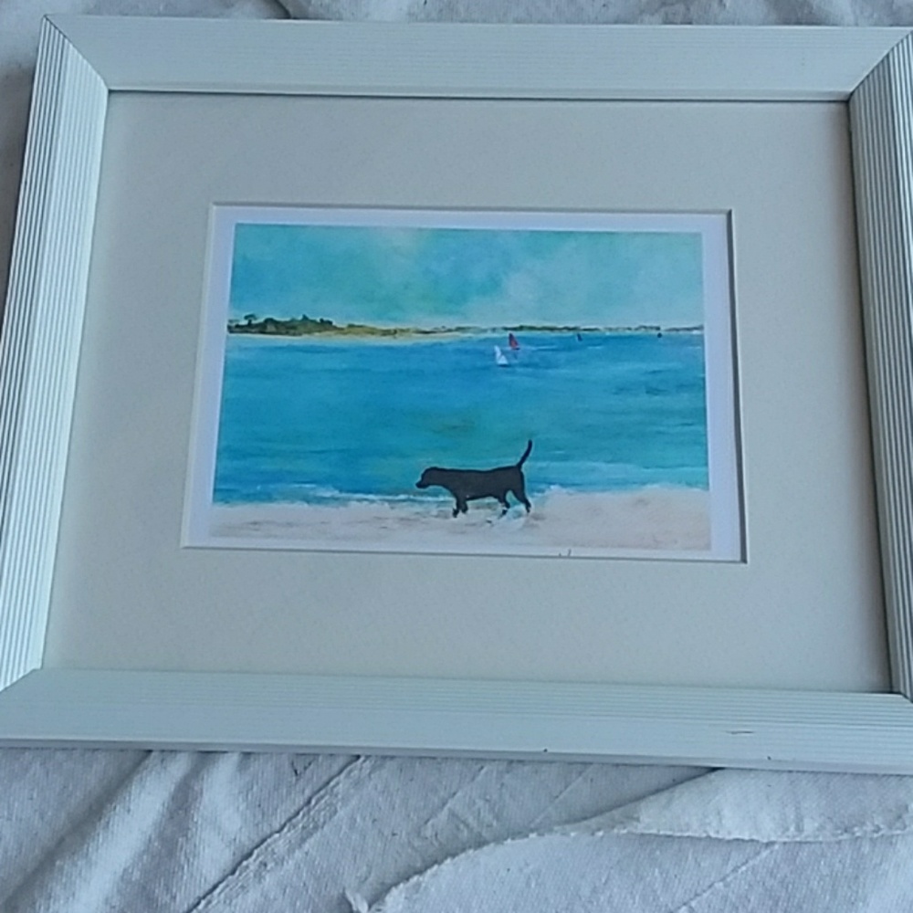 A LAB ON THE BEACH!
